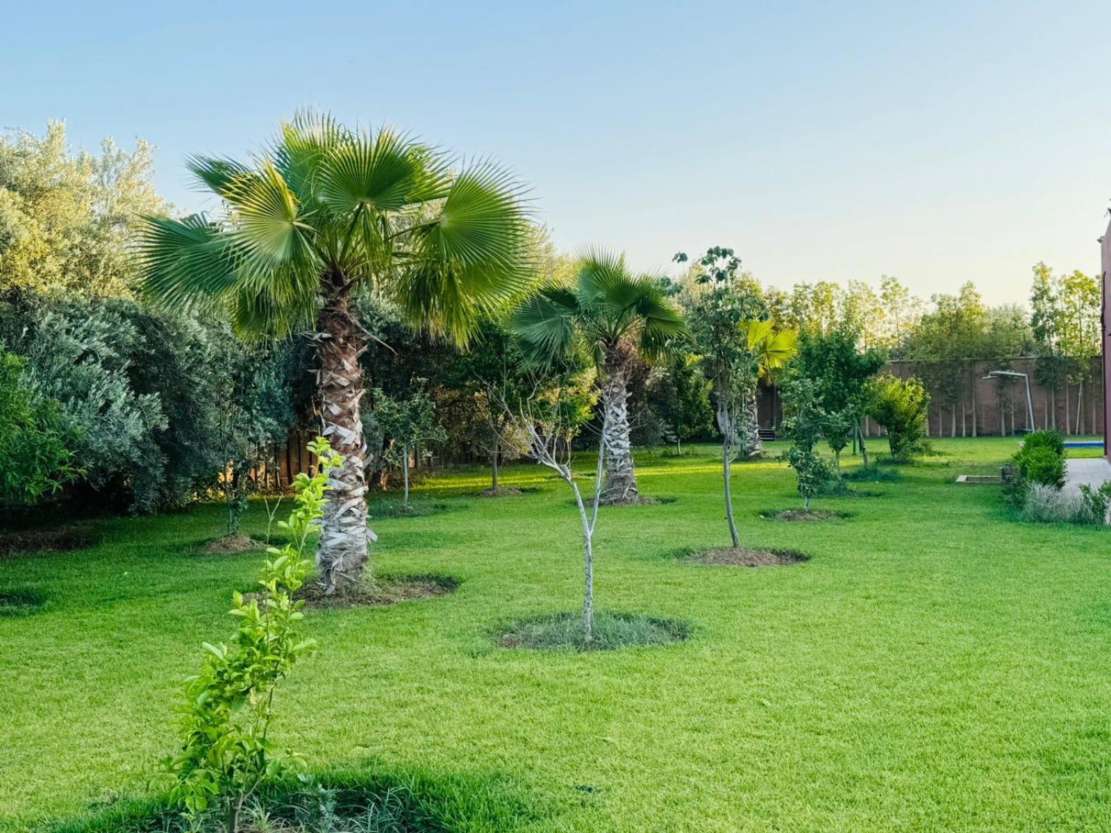 Villa Salah Marrakesh Eksteriør billede