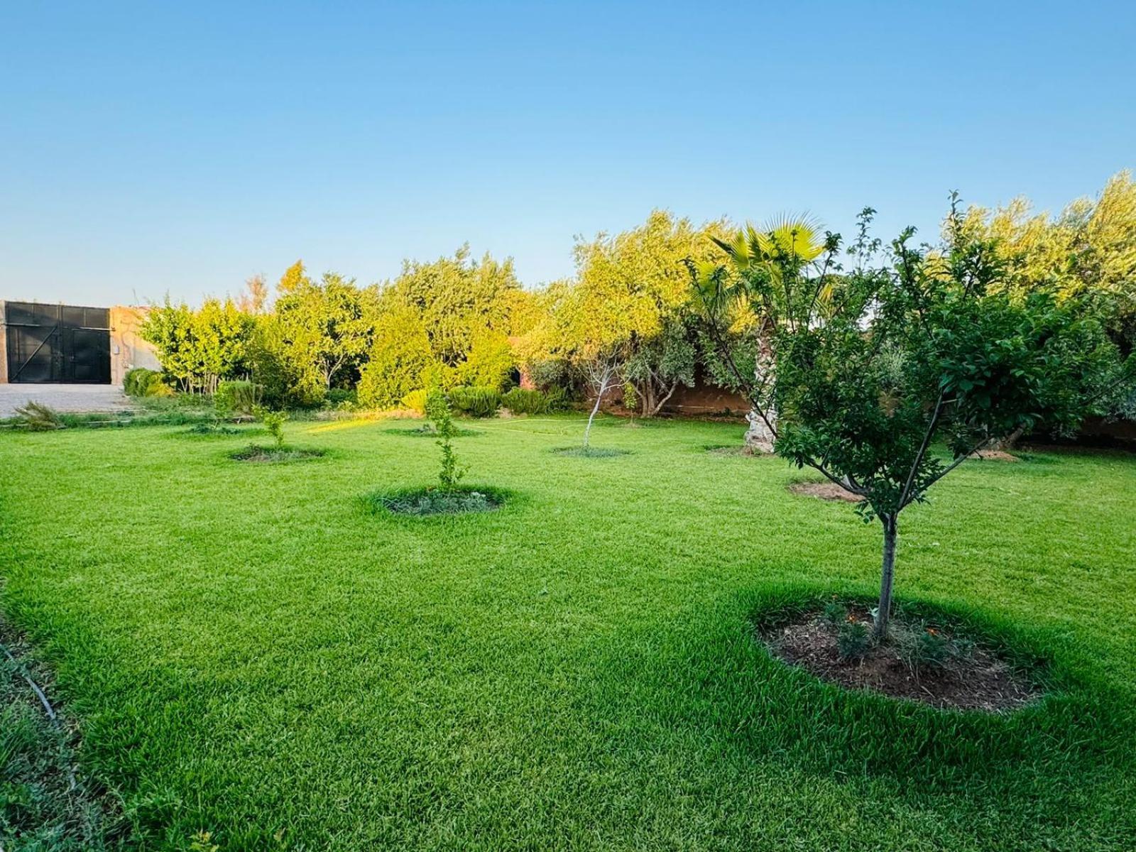 Villa Salah Marrakesh Eksteriør billede