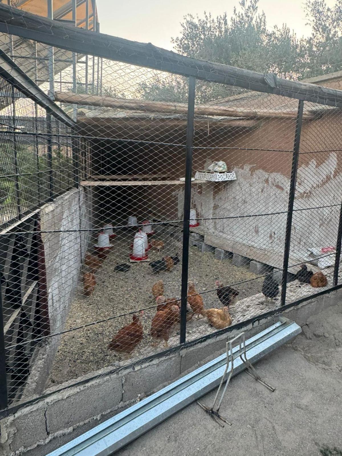 Villa Salah Marrakesh Eksteriør billede